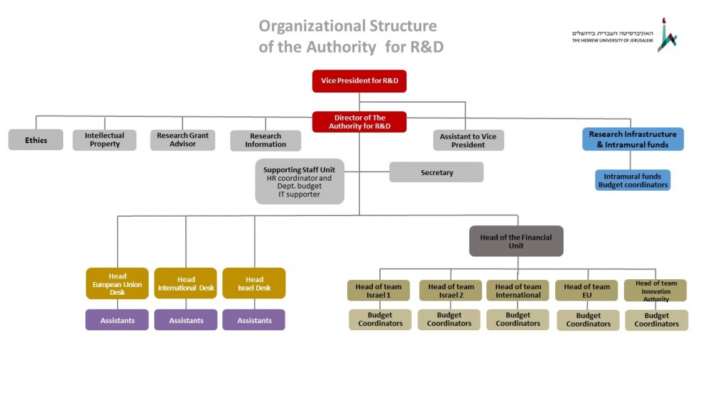 Organization structure