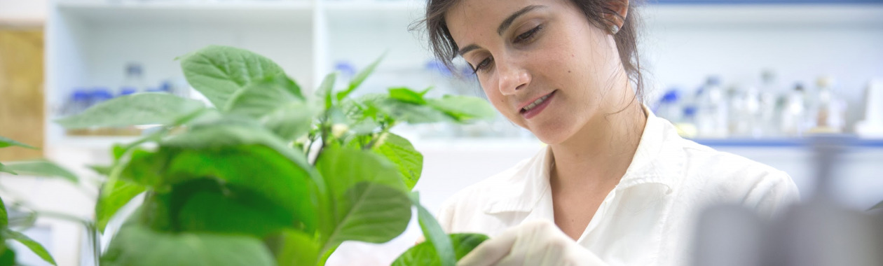 We have collected for you hundreds of proposals from foundations in Israel and abroad